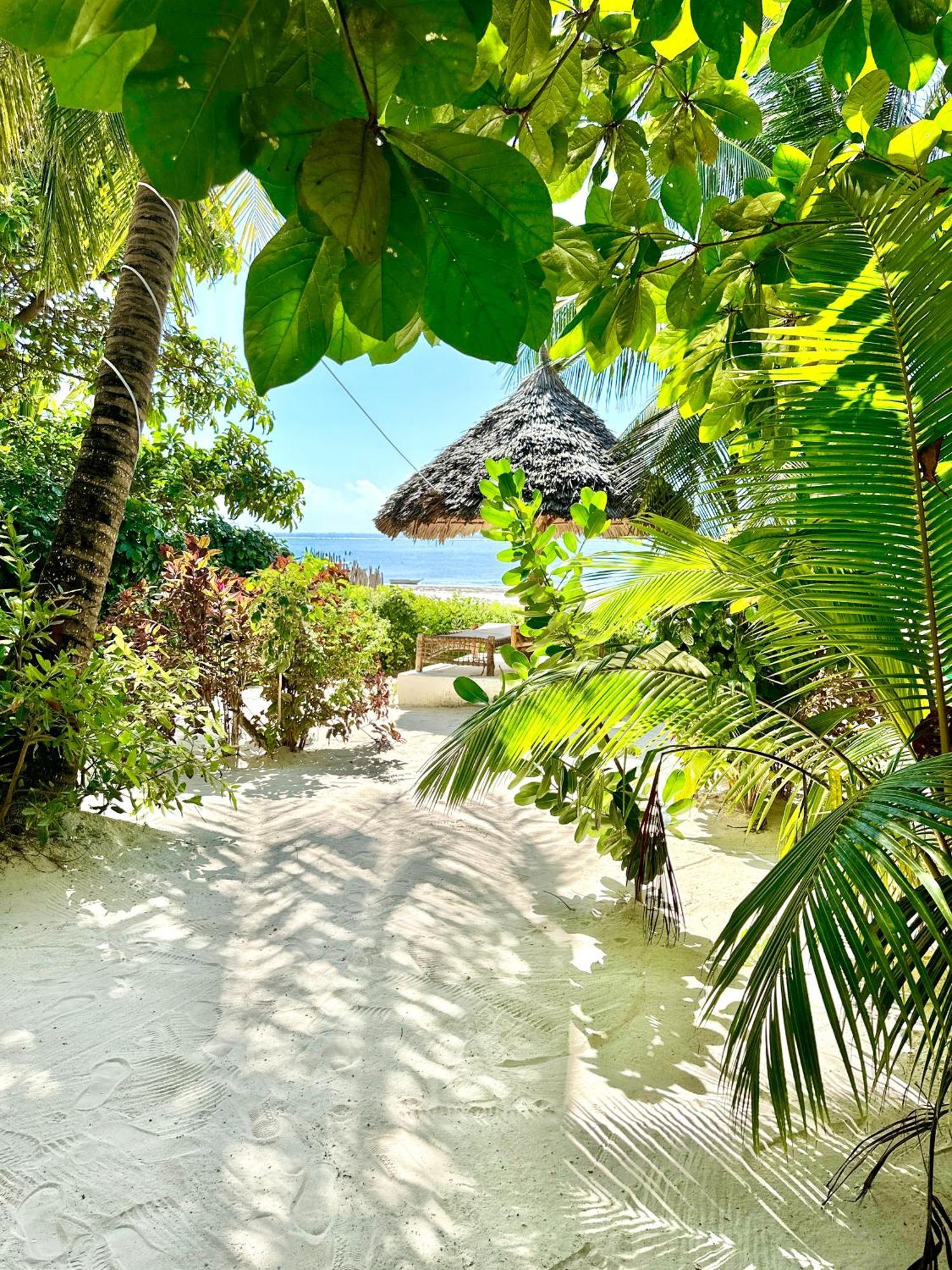 Hebe Bungalows Lodge Matemwe  Exteriér fotografie