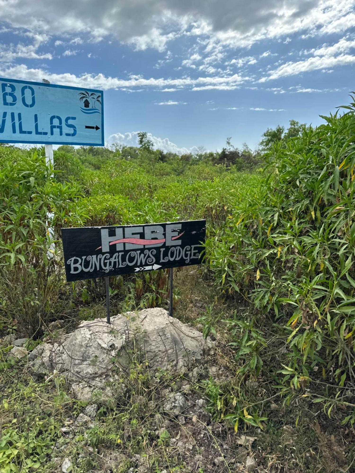 Hebe Bungalows Lodge Matemwe  Exteriér fotografie