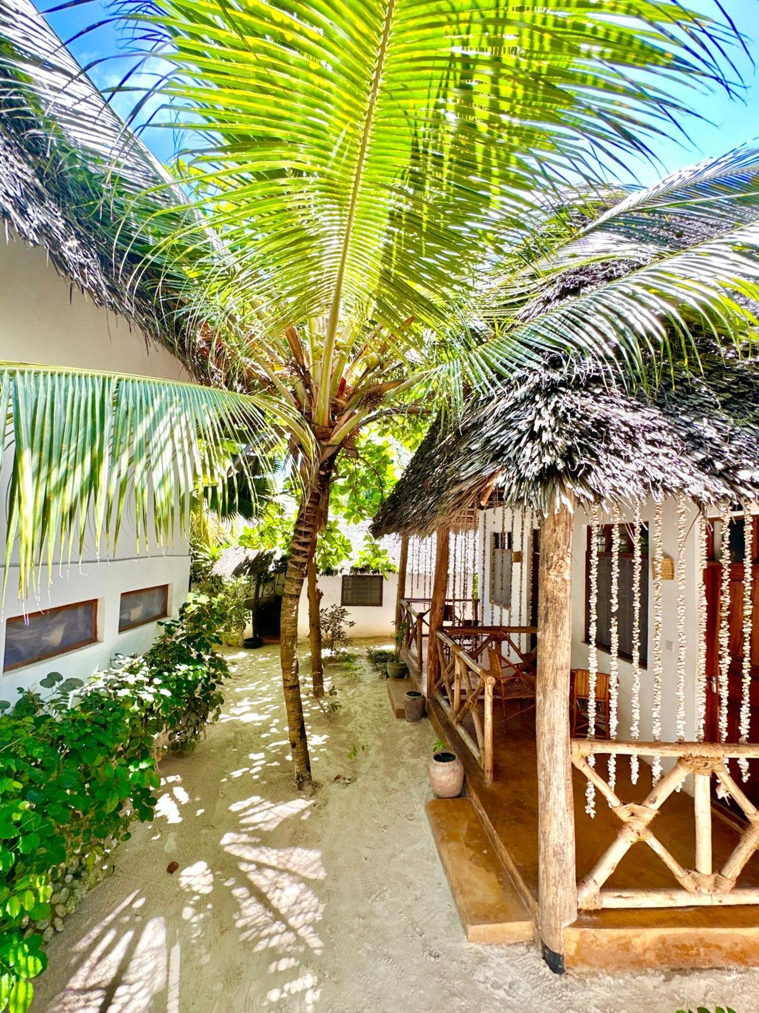 Hebe Bungalows Lodge Matemwe  Exteriér fotografie