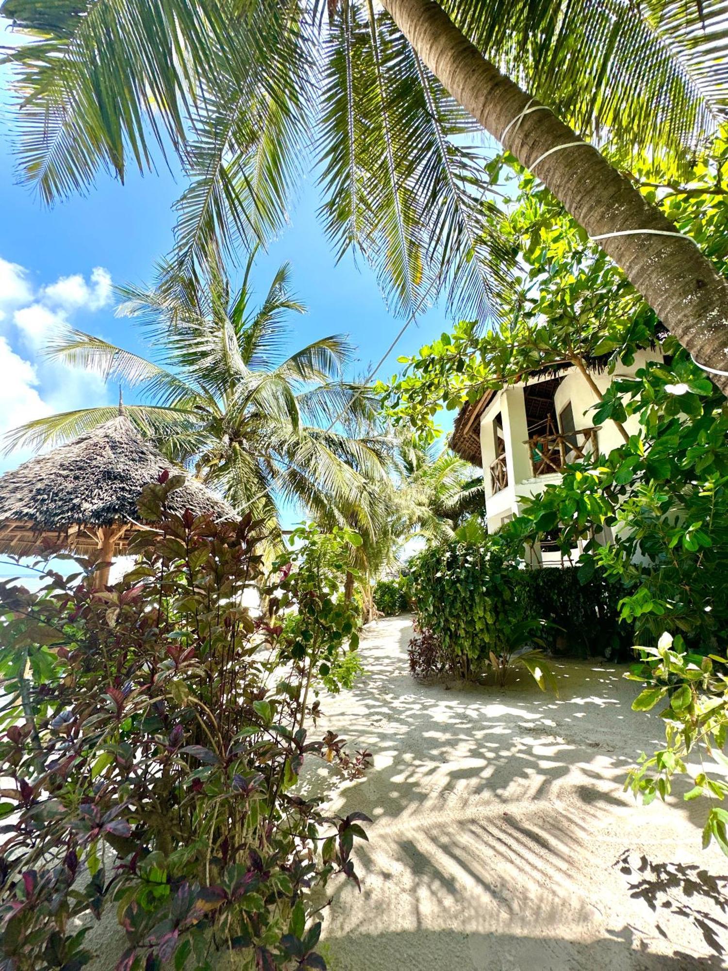 Hebe Bungalows Lodge Matemwe  Exteriér fotografie