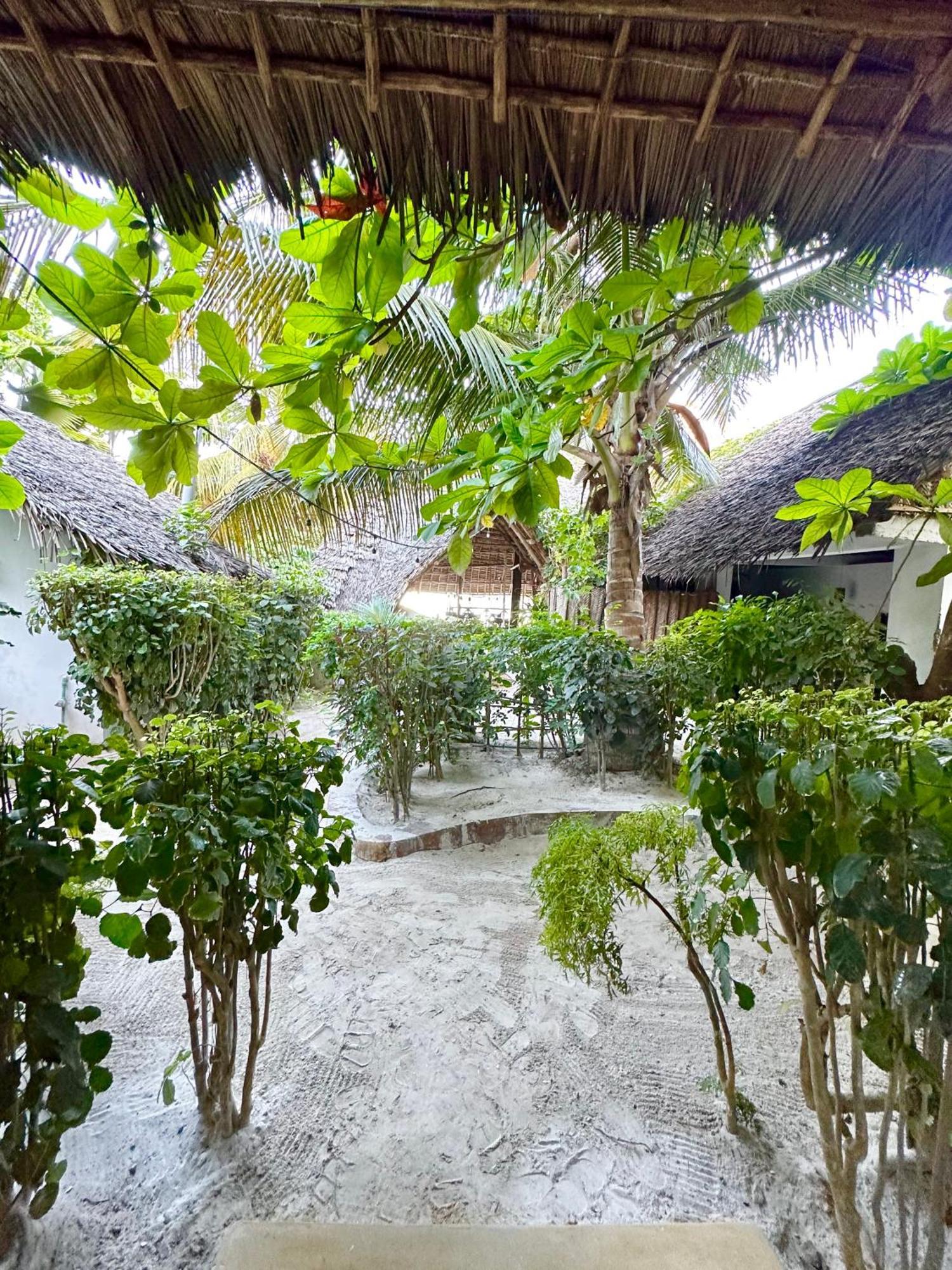 Hebe Bungalows Lodge Matemwe  Exteriér fotografie