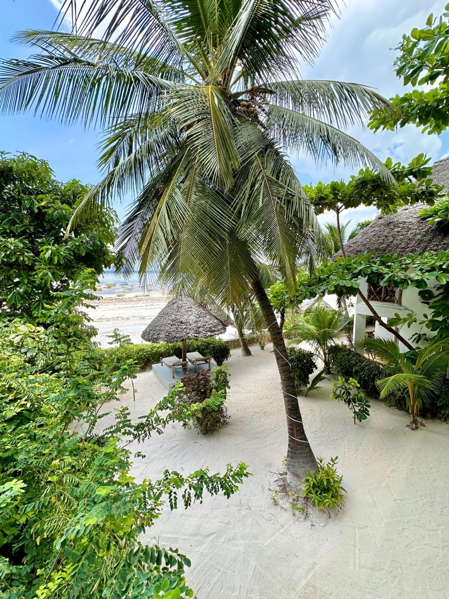 Hebe Bungalows Lodge Matemwe  Exteriér fotografie