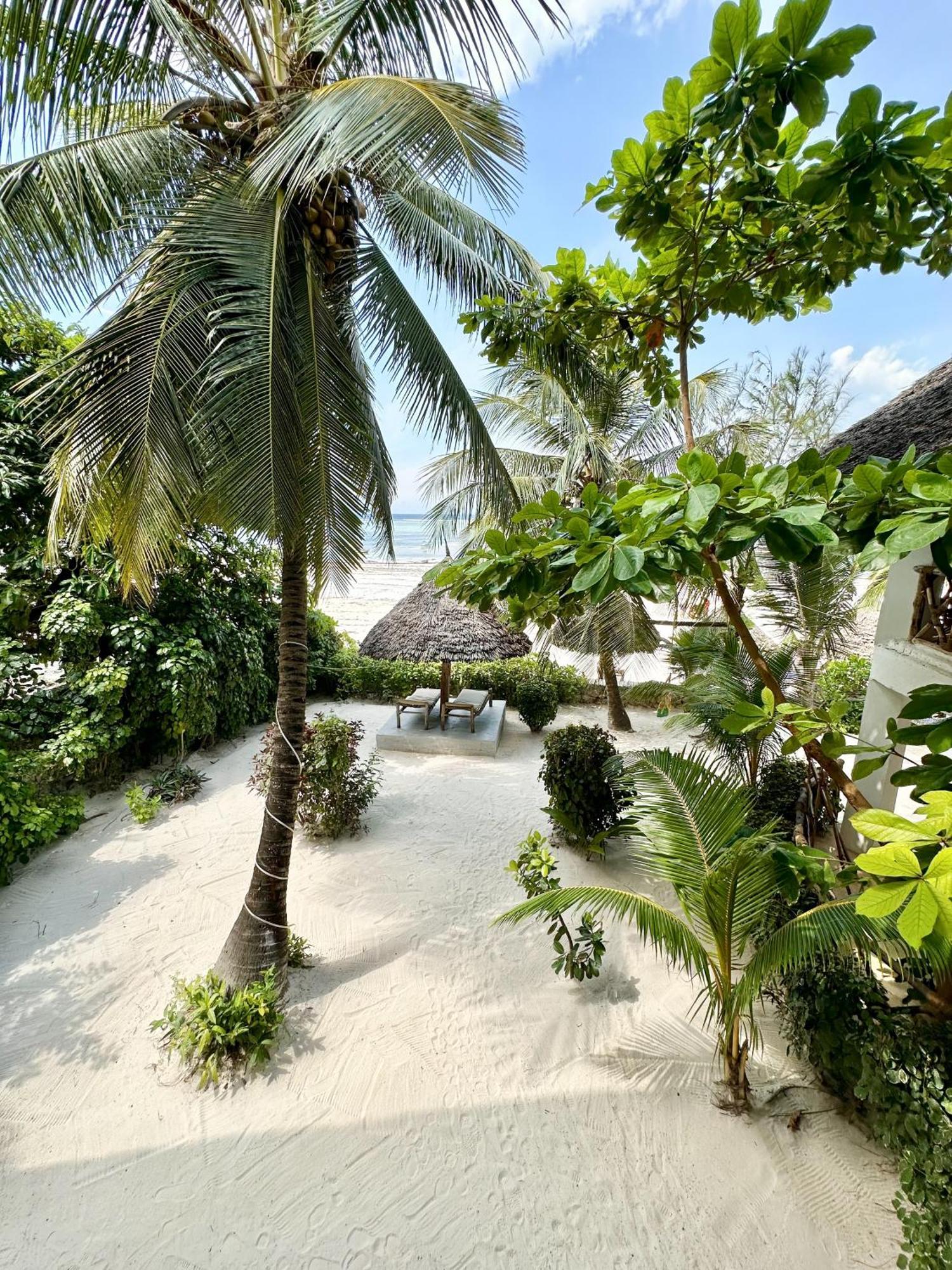 Hebe Bungalows Lodge Matemwe  Exteriér fotografie